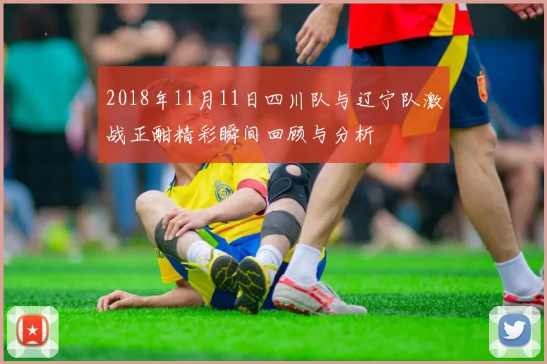 2018年11月11日四川队与辽宁队激战正酣精彩瞬间回顾与分析