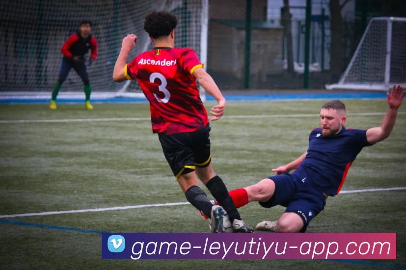 leyu乐鱼体育app下载平台生态图